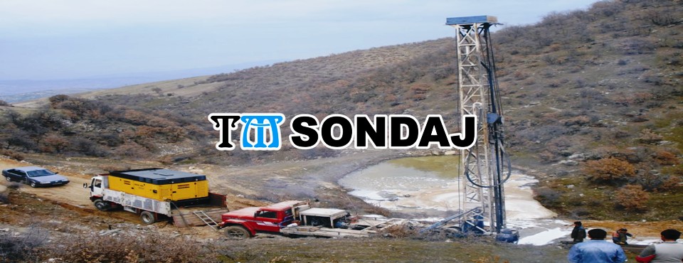sondaj1